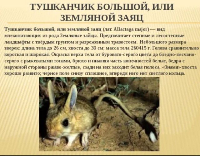 Победная поступь идиотизма по планете – том 3