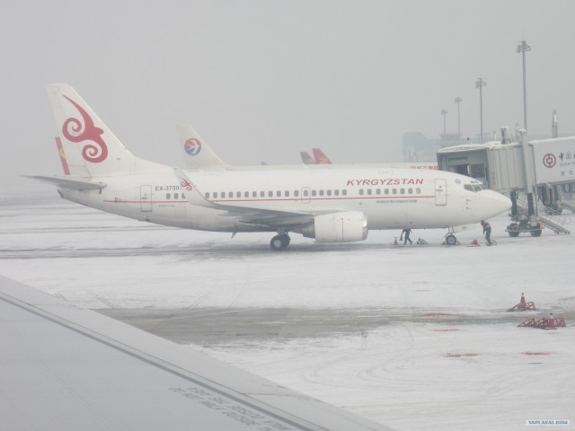 Нихао, белые люди!