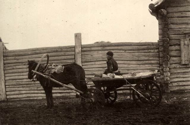 Сибирские казаки на службе и дома. Альбом 1911 года
