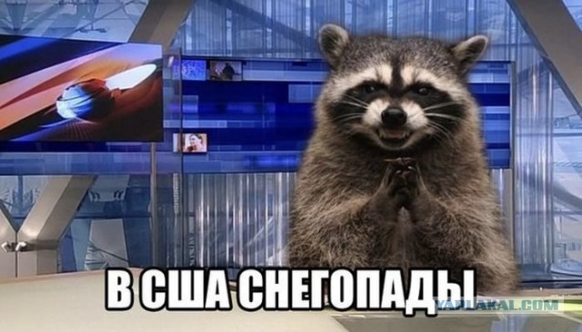 Лондон накрыло сильнейшим снегопадом, как и всю Великобритани