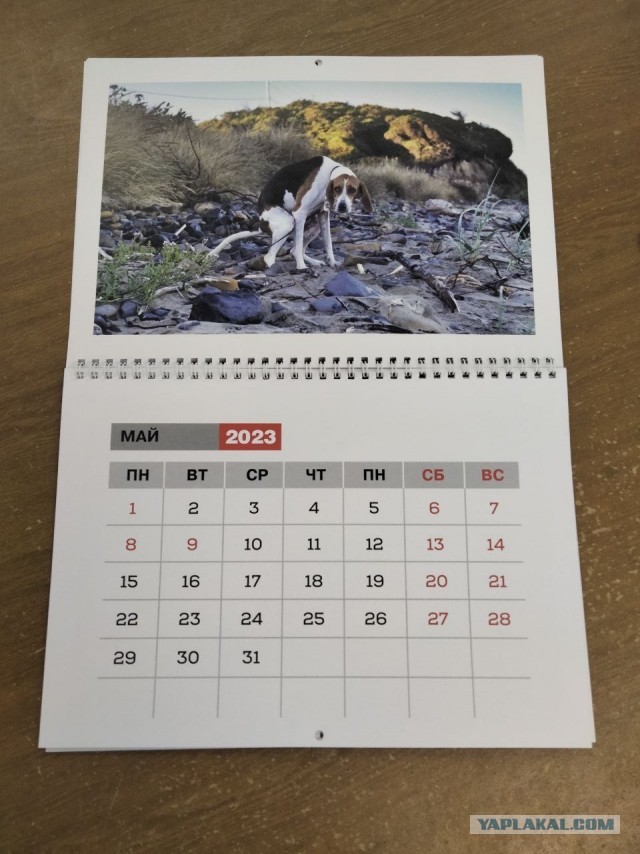 Технониколь. Календарь 2023