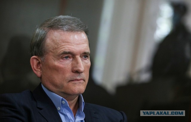 Арестовано имущество жены Медведчука на сумму более $152 млн