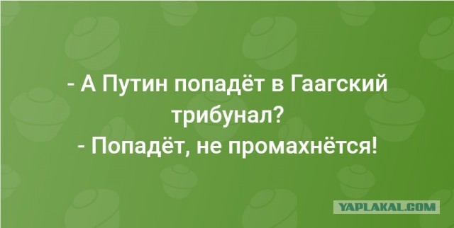 Международный уголовный суд в Гааге выдал ордер на арест Владимира Путина и Львовой-Беловой
