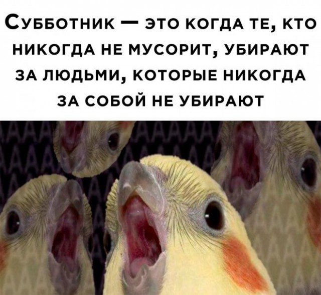 Картинки и мемы, это май-чародей всяко разно - 177