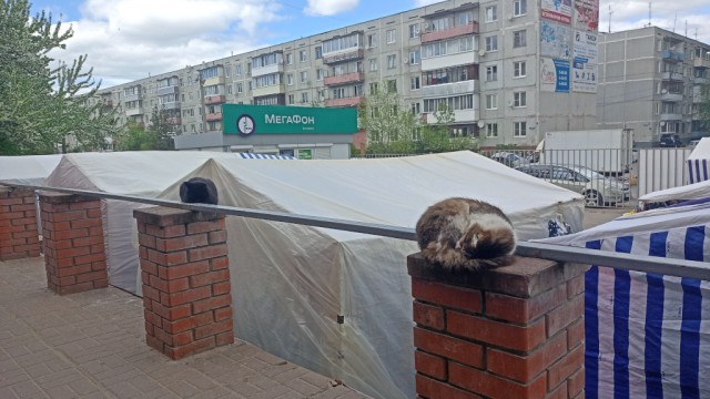 Буду жаловаться