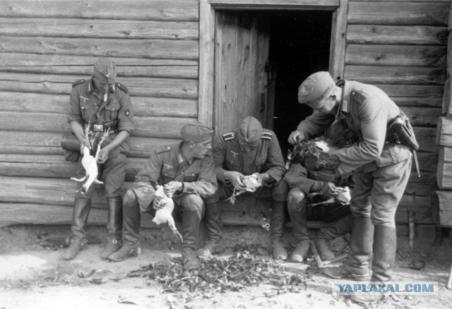 1 июля 1966 года в СССР отменили трудодни