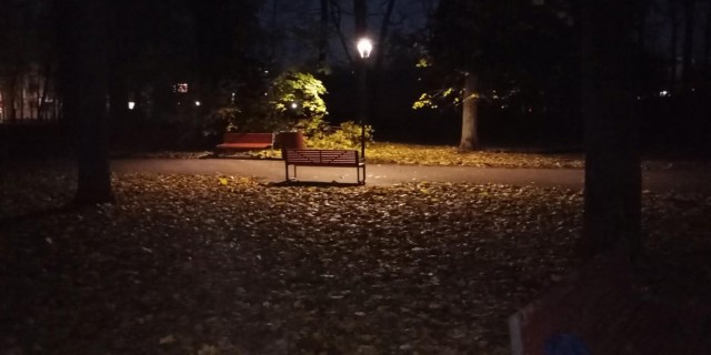 Красивые фото ЯПа