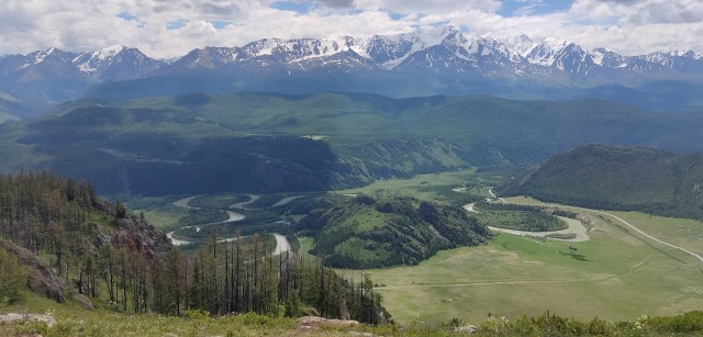 Красивые фото ЯПа