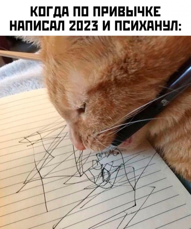 Весёлый полтишок 11.01.23