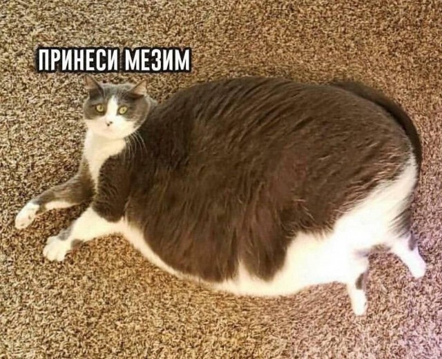 30 старопредновогодних пикч