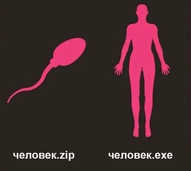Всего понемногу. От 17.01.24