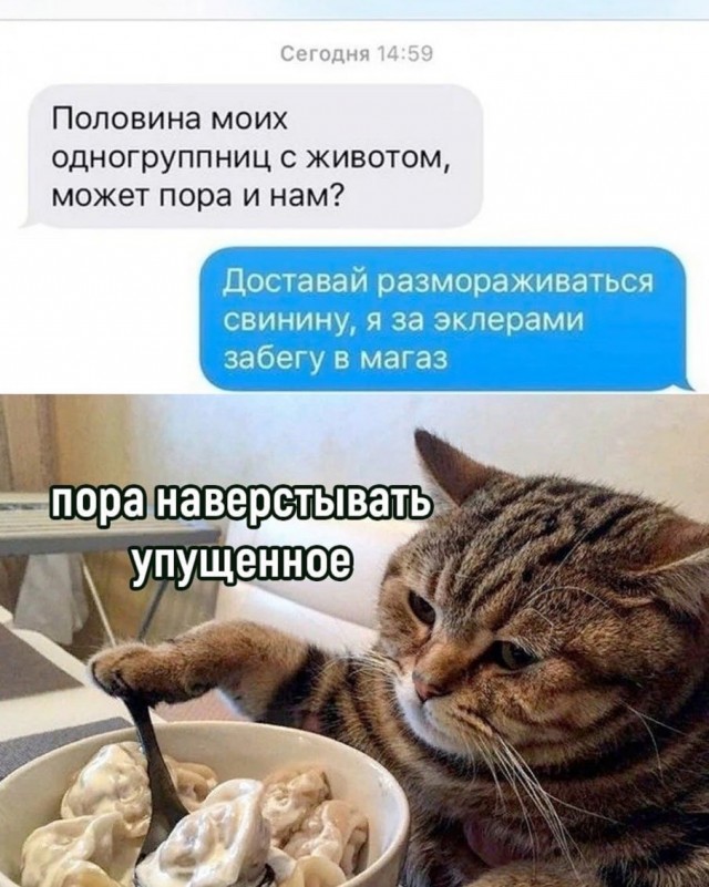 Тлидцать тли от 6 февраля