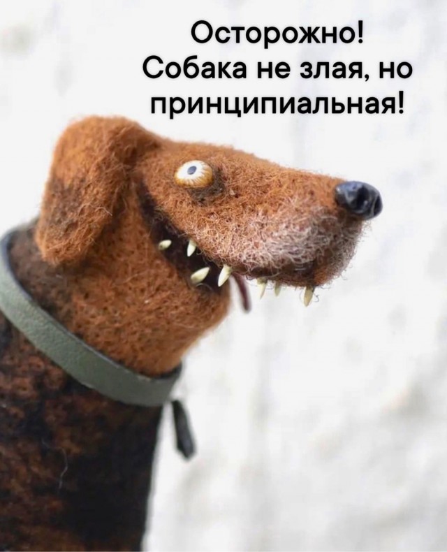 Доставка баянов