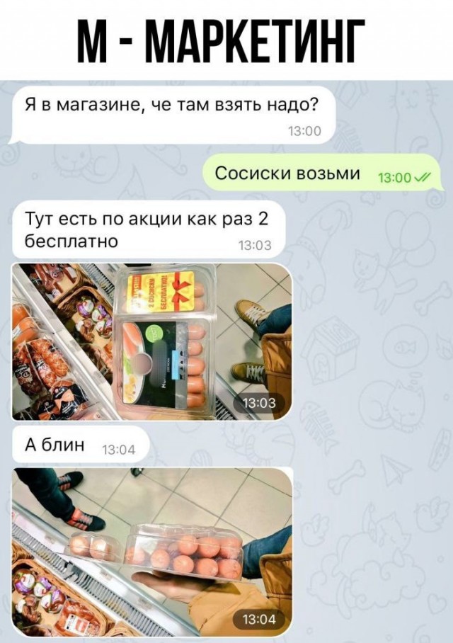 Немного забавных картинок от 22.08.2024