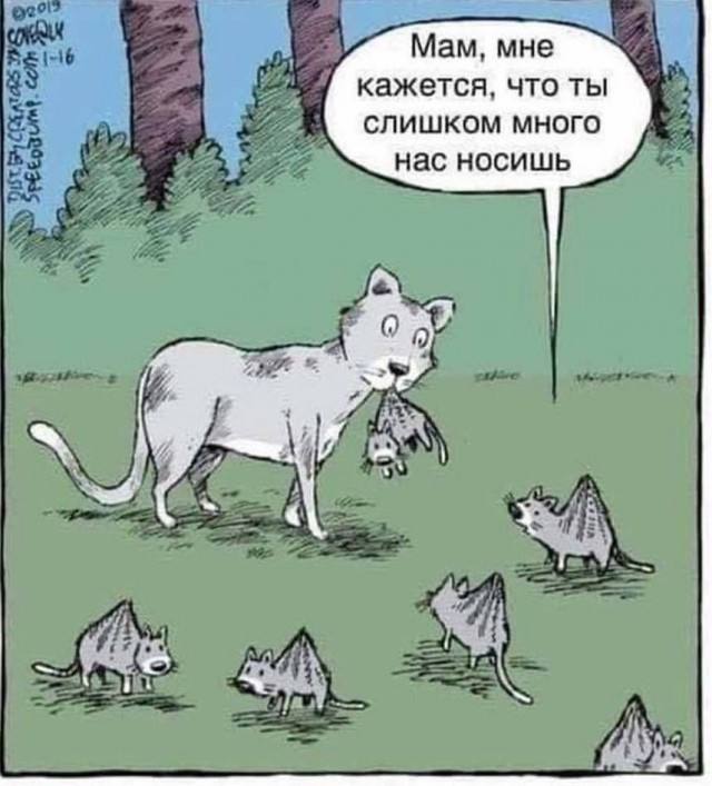 Завалялось тут случайно немного забавных картинок