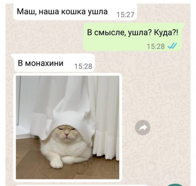 Завалялось тут случайно немного забавных картинок