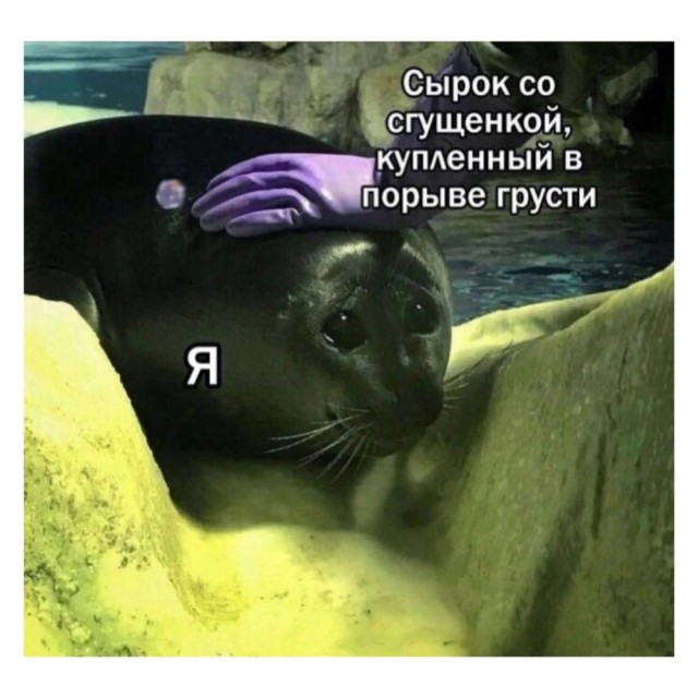 Весёлый полтишок 10.12.24