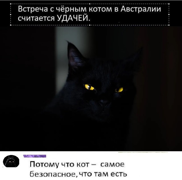Картинки разные с надписями и без