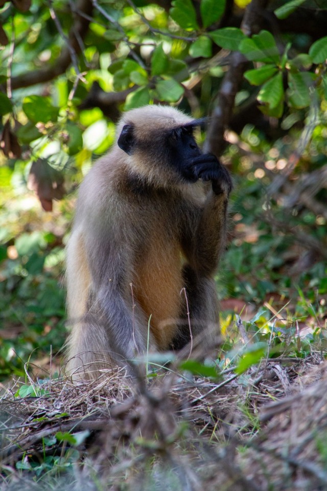 Бутан, таинственный Бутан