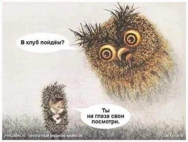 Прикольные и просто красивые картинки 04.03. 2025