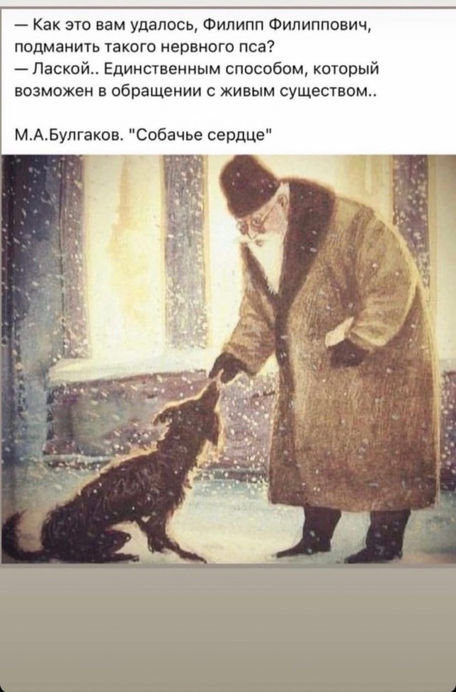 Когда голод превыше ярости