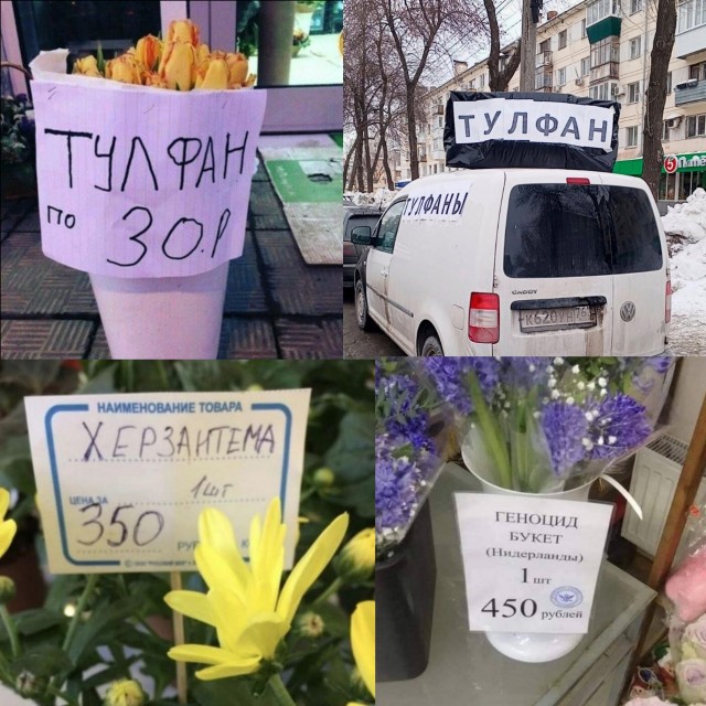 Не сдал экзамен по русскому