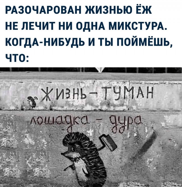 Прикольные и просто красивые картинки 11.04.2025