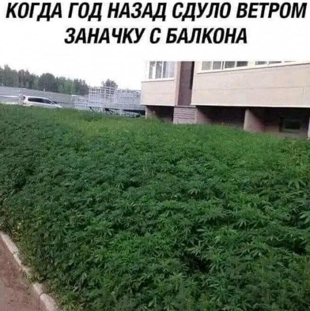 Иллюстрации