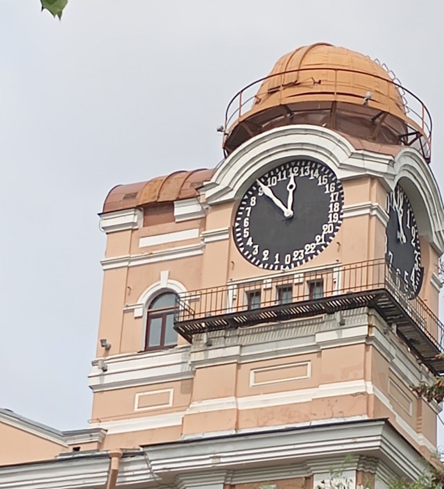 Сова на отдыхе