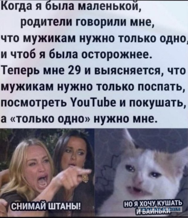 Веселые картинки в пятницу (15.08)