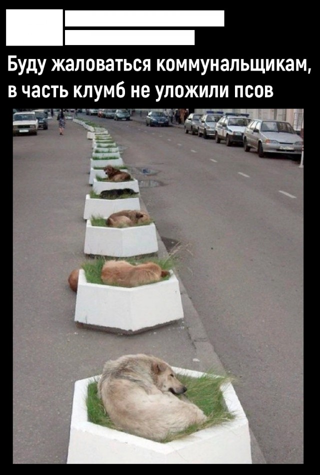Так себе картинки 18.08.25
