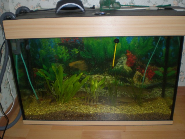 Как простить измену, если она была давно?