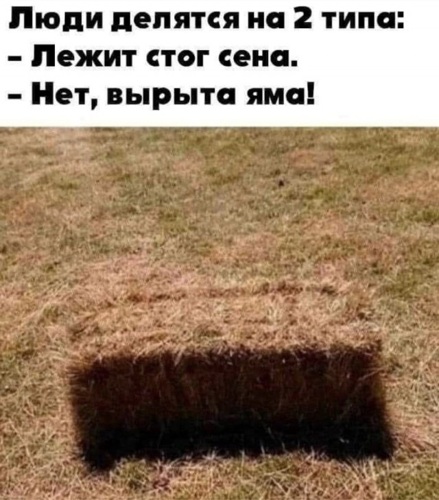 Веселое настроение в картинках 01.02.26