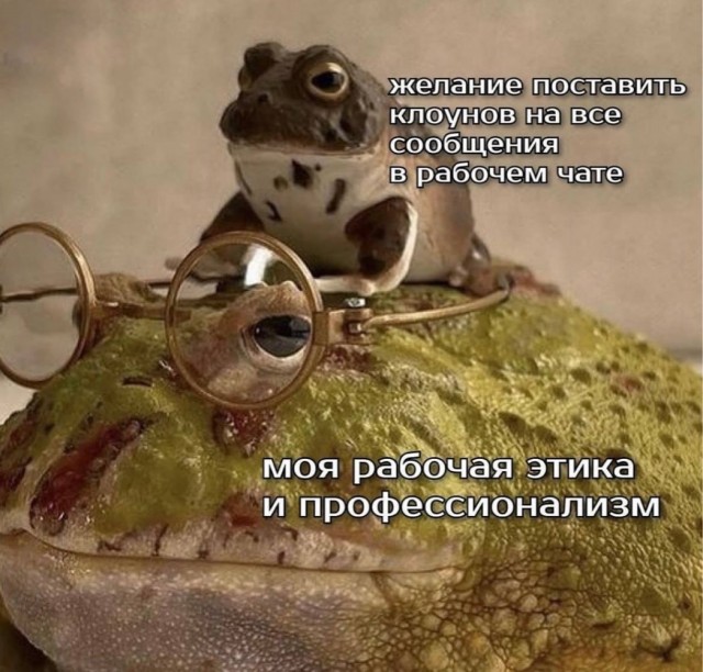Прикольные и просто красивые картинки 27.02.2026