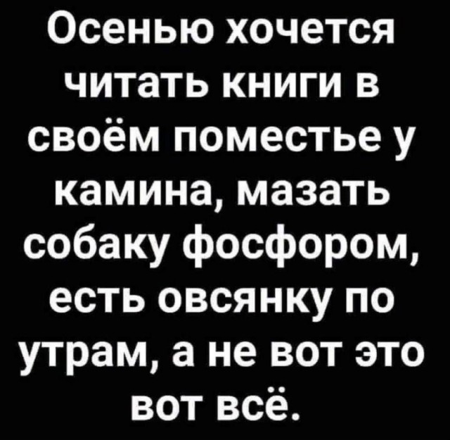 Картинки для деградации 157 (разной степени свежести)