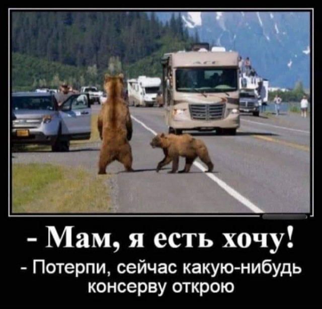 Картинки для деградации 178 (разной степени свежести)