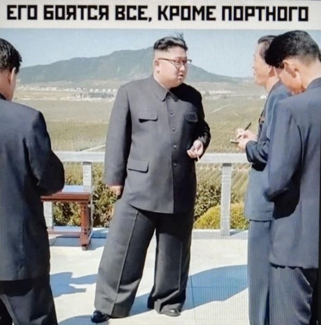 Картинки для деградации 204 (разной степени свежести)