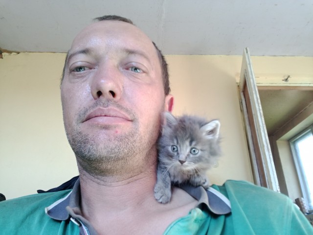 Белочка пришла