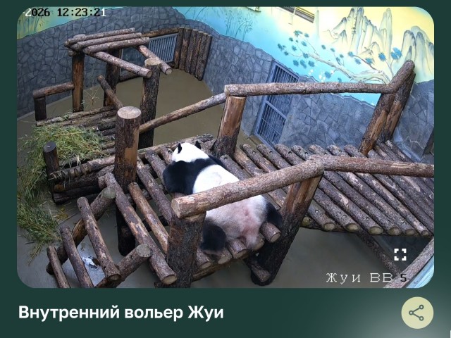 Ну понедельник же, все мы немножечко Катюша