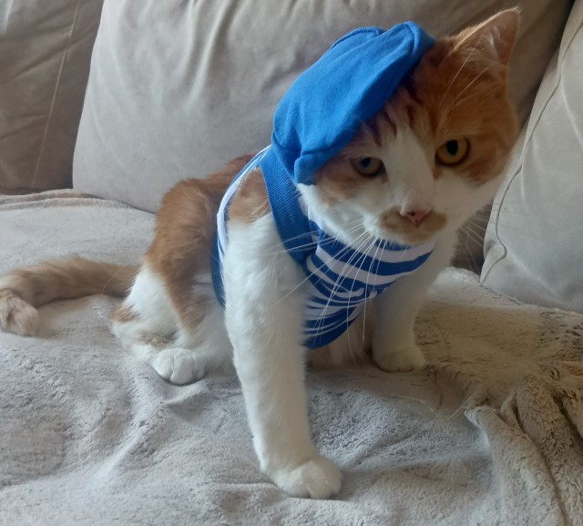 С днем вдв