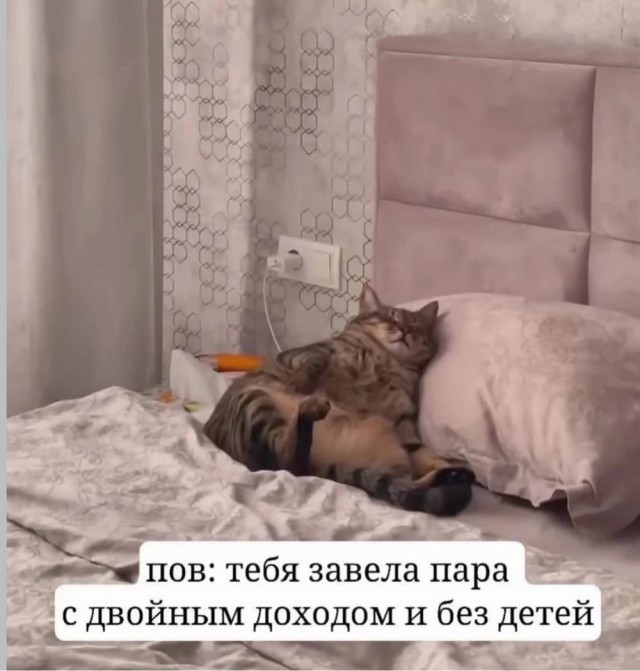 Веселое настроение в картинках 10.08.26