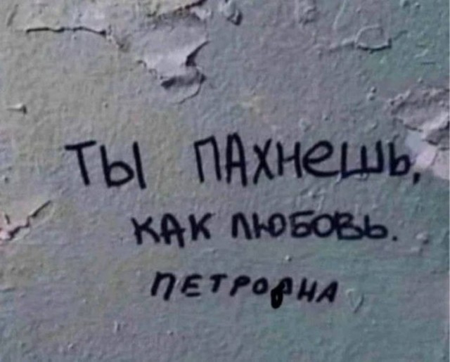 Контент для невзыскательной аудитории