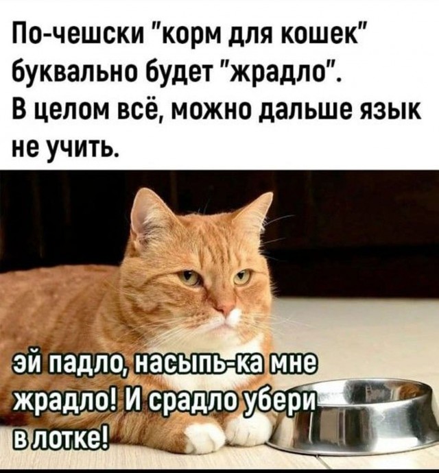 Прикольные и просто красивые картинки 01.09.2026