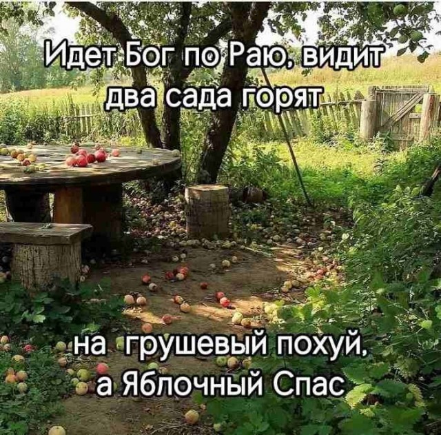 Картинки для деградации 290 (разной степени свежести)