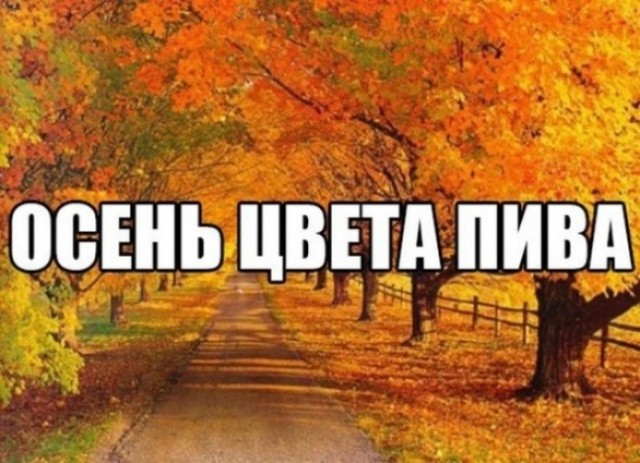 Хочу красивых мужиков в ленту!
