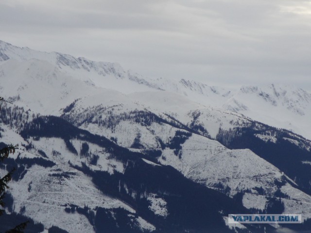 Деревенская Америка