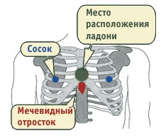 10 интересных фактов о нашем теле