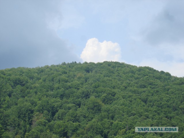 Горганы