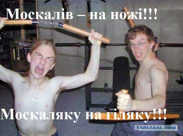 Укробогатырь.