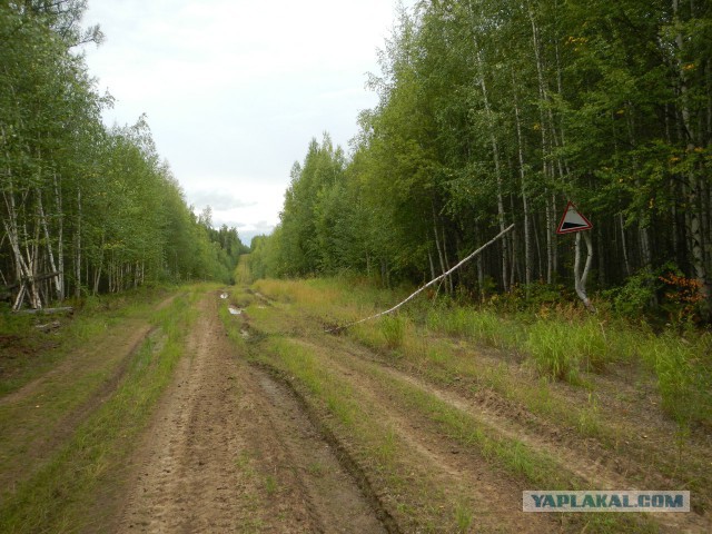 Посоны, у нас дорогу начали делать!